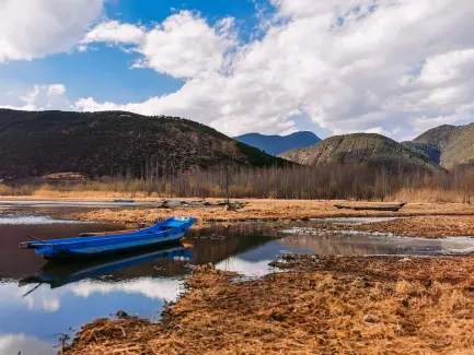 Уининг Казино Мобилно приложение